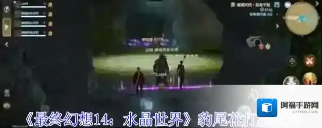 《最终幻想14：水晶世界》豹尾花打法攻略