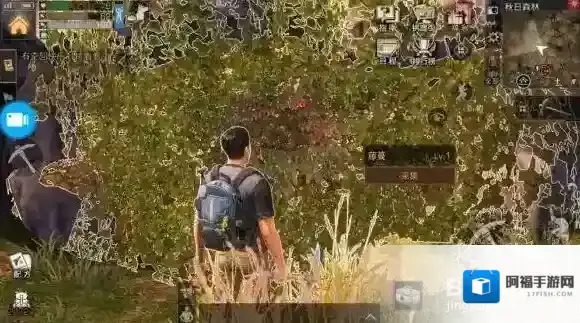 明日之后秋日森林怎么寻宝 秋日森林隐藏洞穴