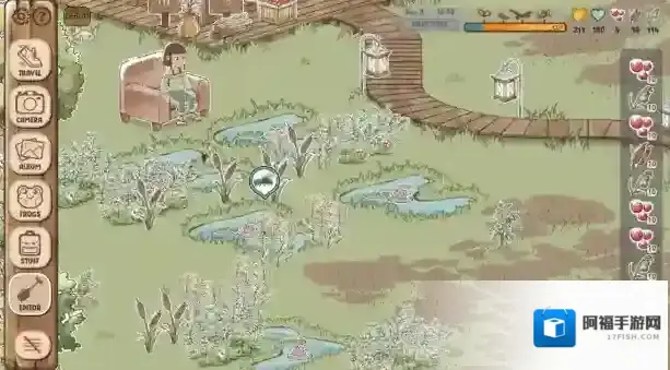 青蛙庇护所家具