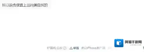 幻兽帕鲁评论区